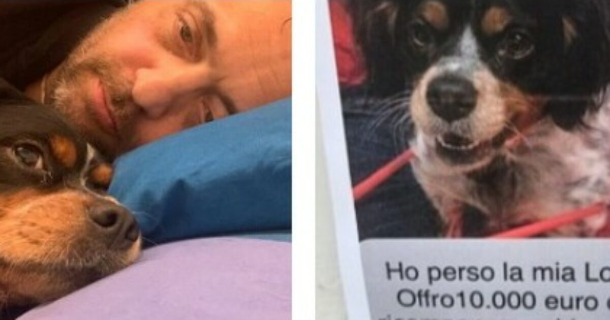 “Vivo da solo, non ho nessuno e da quando ho perso la gamba è l’unica con cui ho un rapporto quotidiano”: l’appello di Massimo per ritrovare la cagnolina Lola