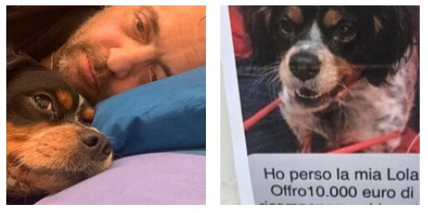 “Vivo da solo, non ho nessuno e da quando ho perso la gamba è l’unica con cui ho un rapporto quotidiano”: l’appello di Massimo per ritrovare la cagnolina Lola