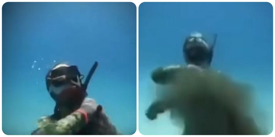 Sub disturba la tana di un polpo e l’animale tenta di strangolarlo: “Questa è una lezione, dovevi lasciarlo in pace e rispettare l’oceano” – IL VIDEO