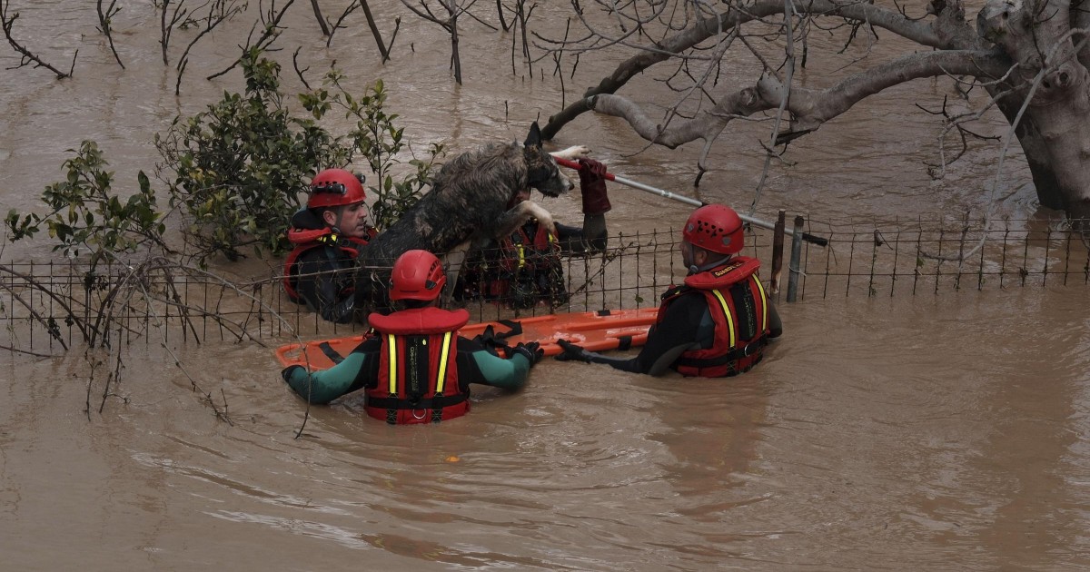 Nuova alluvione in Spagna, almeno due morti a Malaga. Scuole, ferrovie e autostrade chiuse