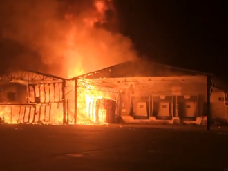 Incendio nella notte all'Ortomercato di Milano, è di origine dolosa