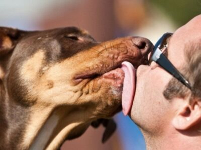 Copertina di Uomo muore dopo aver contratto un batterio nella saliva del suo cane: “Ha un’incidenza mortale di circa 1 caso su un milione”