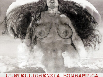 Copertina di La vignetta di Mannelli