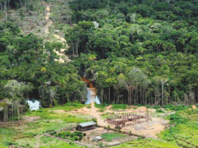 In Amazzonia  ha piovuto il 40% in meno nel 2024