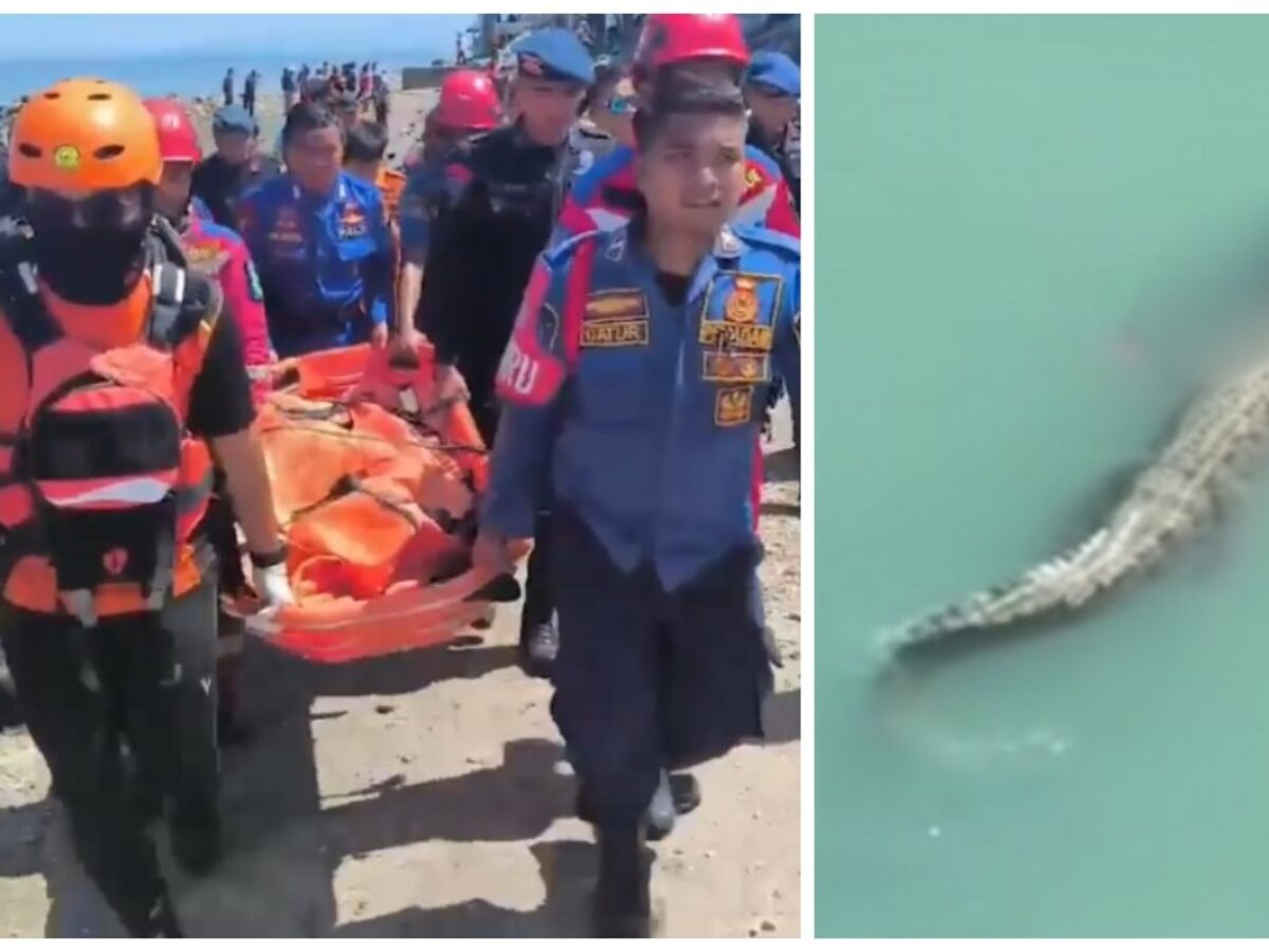 Coccodrillo sbrana un uomo e poi nuota tenendo il corpo tra le fauci, i testimoni: “Abbiamo provato a salvarlo gridando, ma non ci ha sentito”