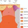 Copertina di Campi Flegrei, l’Ingv: “Il sistema magmatico della caldera in 3d fino a profondità mai esplorate prima”