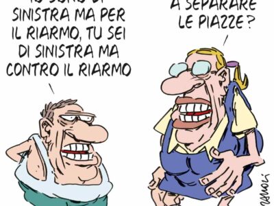 Copertina di La vignetta di Franzaroli