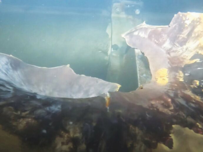 Dai viaggi fantasma alle luci in spiaggia: i misteri della nave della flotta fantasma