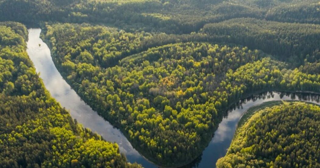 Non solo conservazione, ecco come la natura si può restaurare (rilanciando l’economia)
