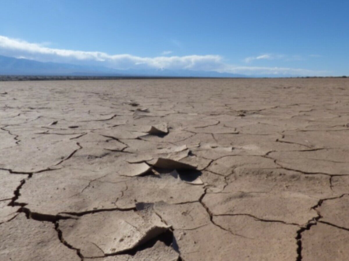 Gli 11 anni che hanno sconvolto il clima (e la vita) sul pianeta. I dati del 2025 e l’allarme lanciato da Copernicus | Le infografiche