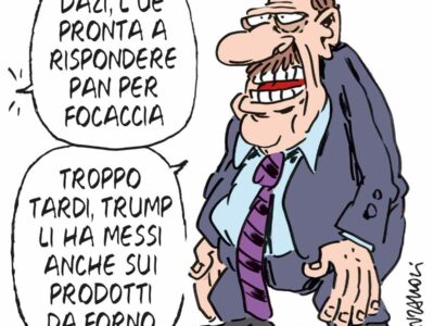 Copertina di La vignetta di Franzaroli