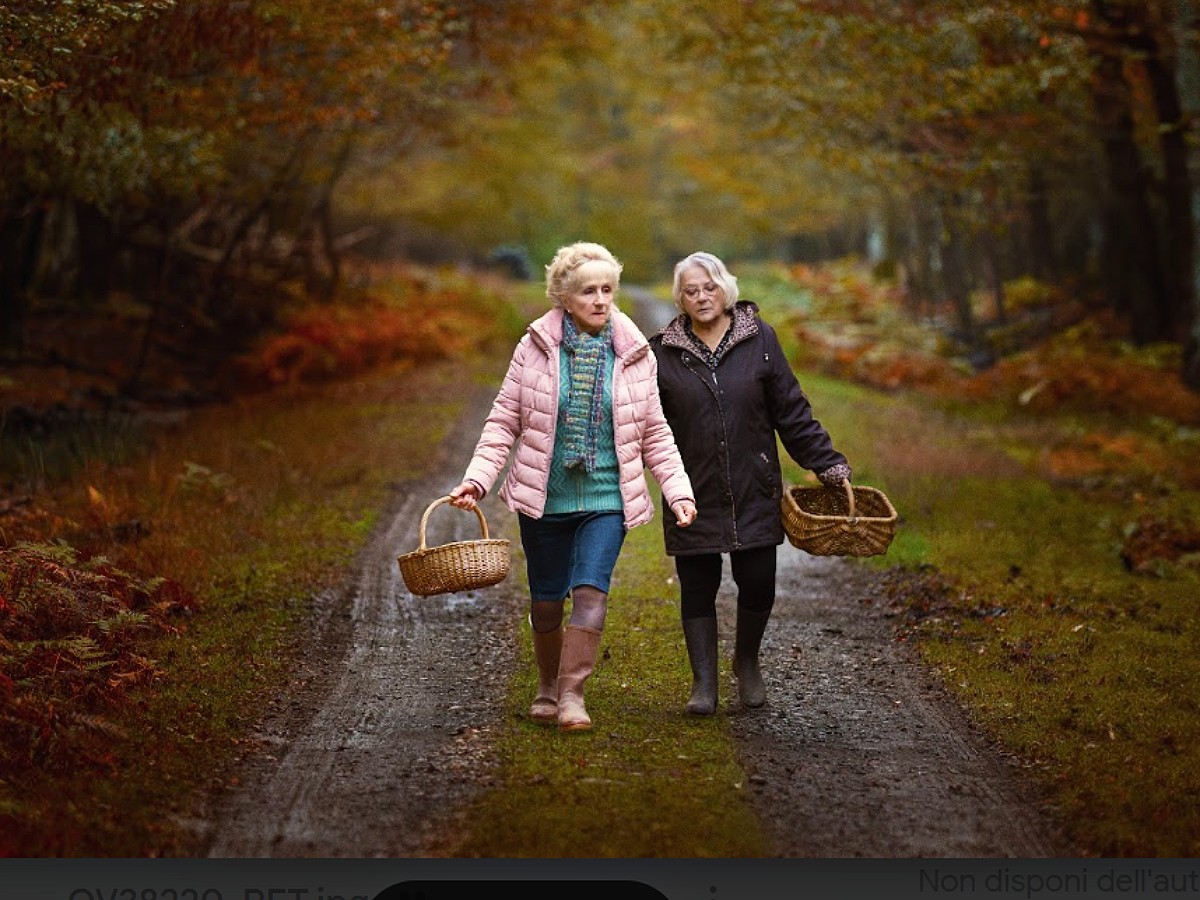 Sotto le foglie, François Ozon e il potere della menzogna