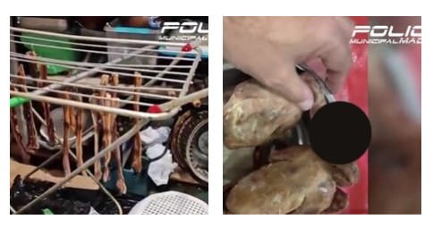 Serviano piccioni presi per strada al posto dell’anatra laccata: chiuso ristorante cinese a Madrid