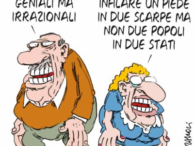 Copertina di La vignetta di Franzaroli