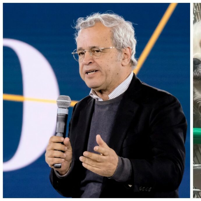 “Leggete cosa c’è scritto sul carrello e imparate”: Enrico Mentana replica alle critiche per aver portato i suoi tre cani al supermercato