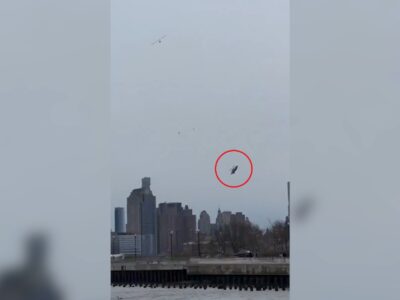 Copertina di Il video dell’elicottero precipitato nel fiume Hudson a New York: il velivolo “si spezza” in due