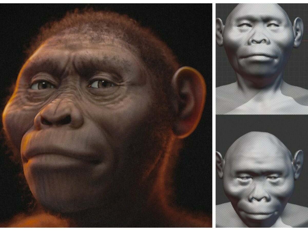 “Vedere il volto di Lucy è come intravedere un ponte verso 3 milioni di anni fa”: gli scienziati rivelano l’aspetto dell’antenata più famosa dell’umanità