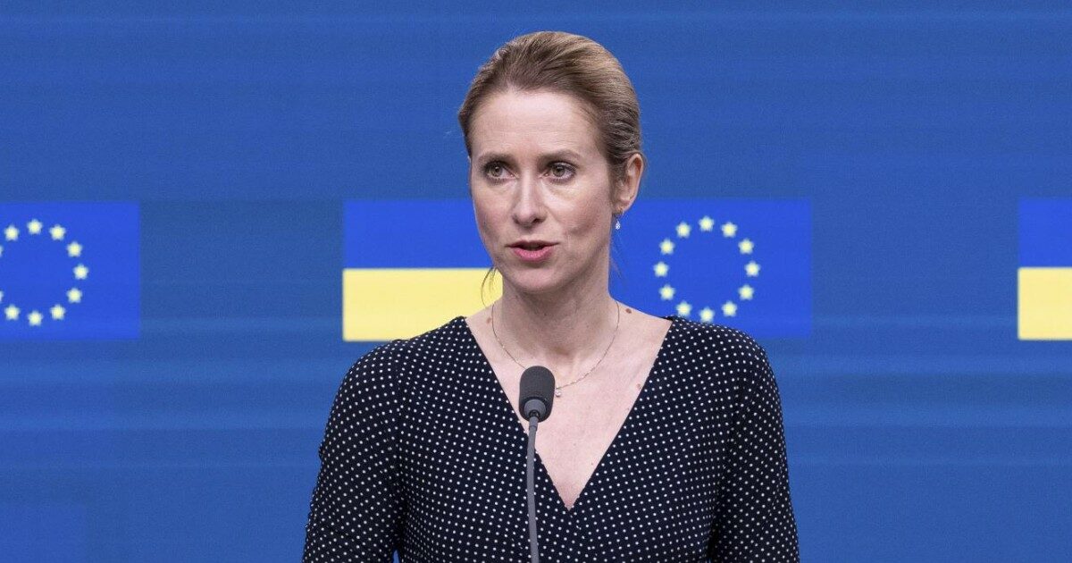 kallas contro l8217eurodeputata irlandese che critica il riarmo ma scivola sulla storia non conoscete l8217oppressione ma dimentica gli anni del terrorismo