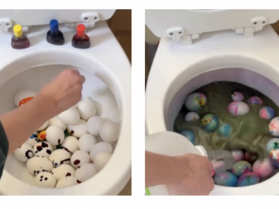 Copertina di Mette le uova dentro il wc e le colora per la Pasqua ma c’è chi si infuria: “L’ho fatto vedere al mio terapista, è andato anche lui in terapia”, “Ma quindi sono al sapore di ****?” – Video