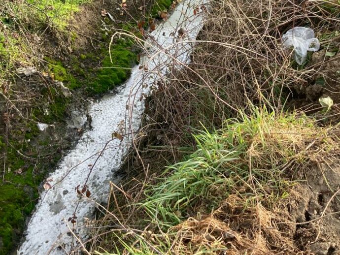 A Colturano continua l’inquinamento delle acque nel disinteresse delle istituzioni