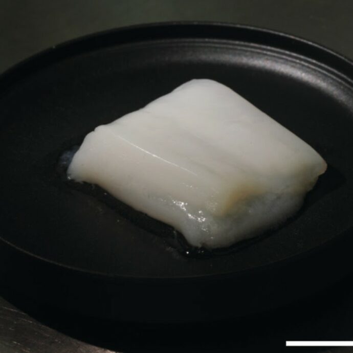 Carne coltivata, così gli scienziati giapponesi hanno “prodotto” bocconcini di pollo