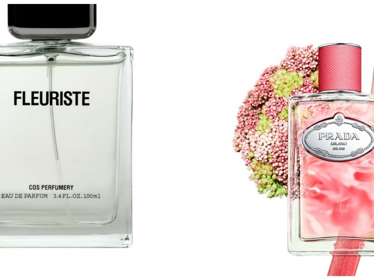 Re Carlo lancia il suo profumo “reale”: ecco perché le fragranze sono la nuova frontiera del lusso. Dalle versioni “di nicchia” a quelle di design, le novità per l’estate
