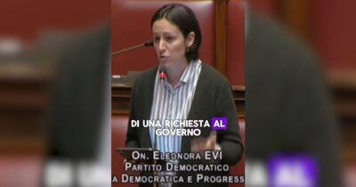 Copertina di “Stop alla barbarie degli animali nei circhi, il governo firmi i decreti”: l’appello di Evi (Pd) in Aula