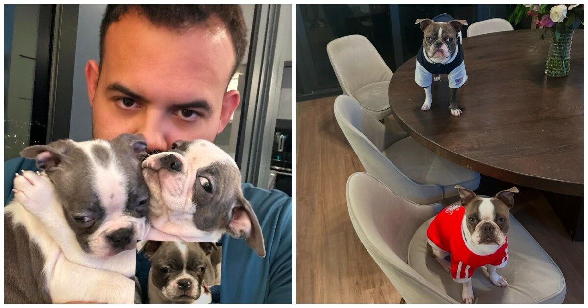 “La morte improvvisa del mio cane mi ha distrutto, così ho speso 45 mila euro per clonarlo. Avrei pagato anche un milione per riaverlo con me”: la storia di Luiz Hoinkis