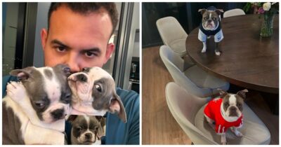 Copertina di “La morte improvvisa del mio cane mi ha distrutto, così ho speso 45 mila euro per clonarlo. Avrei pagato anche un milione per riaverlo con me”: la storia di Luiz Hoinkis