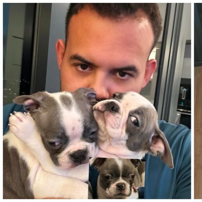 “La morte improvvisa del mio cane mi ha distrutto, così ho speso 45 mila euro per clonarlo. Avrei pagato anche un milione per riaverlo con me”: la storia di Luiz Hoinkis