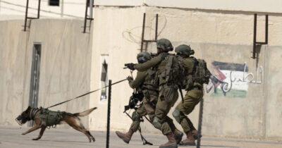 Copertina di I cani d’assalto olandesi spediti a Israele per torturare i palestinesi: i racconti degli attacchi in un report