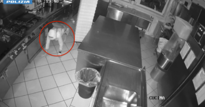 Copertina di Arrestato a Verona il ladro “gattonatore”: con questa tecnica era convinto di eludere allarmi e videosorveglianza