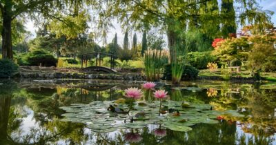 Copertina di Cosa fare a Pasquetta e nei ponti d’aprile? 15 esperienze da provare tra fioriture, capolavori d’arte, installazioni, danza e cacce all’uovo