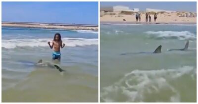 Copertina di “Ho visto il sub mentre veniva morso dallo squalo, agitava le mani in aria. Poi l’acqua è diventata rossa”: il dramma vissuto da un testimone durante l’attacco