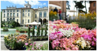 Copertina di Le mostre floreali da vedere in primavera: da Orticola a Milano a Euroflora e “Franciacorta in Fiore”, la guida ai giardini da visitare
