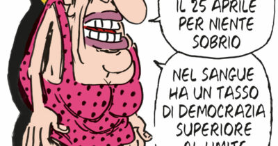 Copertina di La vignetta di Franzaroli