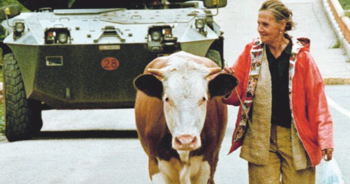 Mucche, Marlboro e proiettili. Sarajevo, “città-polveriera”