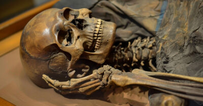 Copertina di Il Dna di due mummie di 7.000 anni fa riscrive la storia dell’uomo di Neanderthal: “Scoperta una popolazione umana finora sconosciuta, geneticamente distinta”