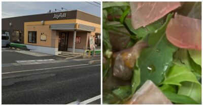 Copertina di “Si muoveva tra le foglie dell’insalata”: un cliente trova una lumaca viva nella pizza al ristorante – IL VIDEO