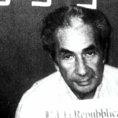 Copertina di Aldo Moro,i babbuini e la Dc