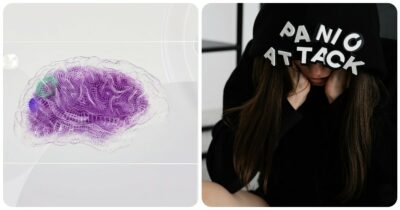 Copertina di È la dopamina a indurre l’estinzione della paura nel cervello, lo studio del Mit