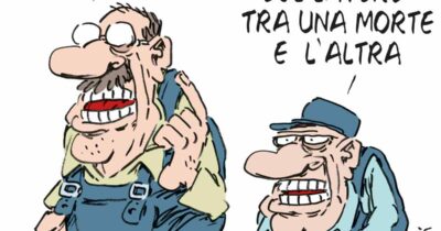 Copertina di La vignetta di Franzaroli