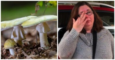 Copertina di Invita i parenti a pranzo e gli serve l’Angelo della Morte, uno dei funghi più letali al mondo: 50enne a processo per l’omicidio degli ex suoceri e della zia del marito