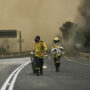 Copertina di Israele, bruciano i boschi intorno a Gerusalemme, evacuate 7mila persone. Hamas: “Incendiate tutto”