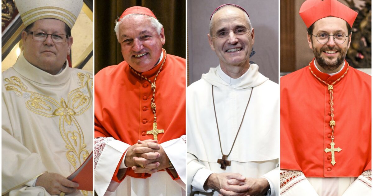 Da Marengo ad Aveline, da Vesco a Lacroix: ecco chi sono gli outsider per la successione di Papa Francesco Da Marengo ad Aveline, da Vesco a Lacroix: ecco chi sono gli outsider per la successione di Papa Francesco