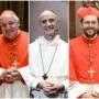 Copertina di Da Marengo ad Aveline, da Vesco a Lacroix: ecco chi sono gli outsider per la successione di Papa Francesco