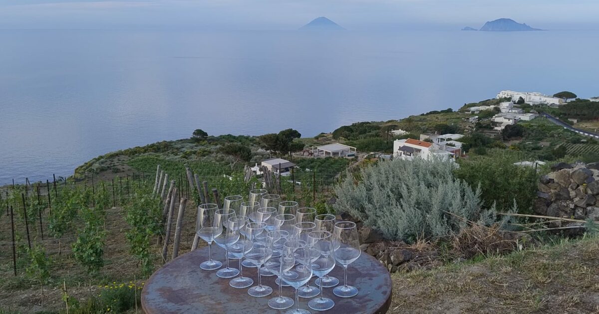 Il settore vitivinicolo attende i contraccolpi di eventuali dazi. Ma le produzioni di qualità sembrano quasi immuni Il settore vitivinicolo attende i contraccolpi di eventuali dazi. Ma le produzioni di qualità sembrano quasi immuni