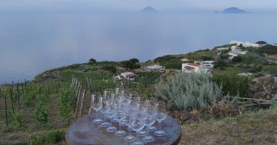 Copertina di Il settore vitivinicolo attende i contraccolpi di eventuali dazi. Ma le produzioni di qualità sembrano quasi immuni

 