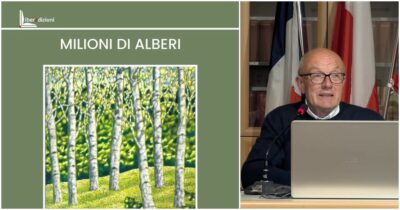 Copertina di Il libro di Dario Furlanetto, Milioni di alberi, è una consolazione
