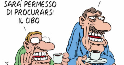 Copertina di La vignetta di Franzaroli